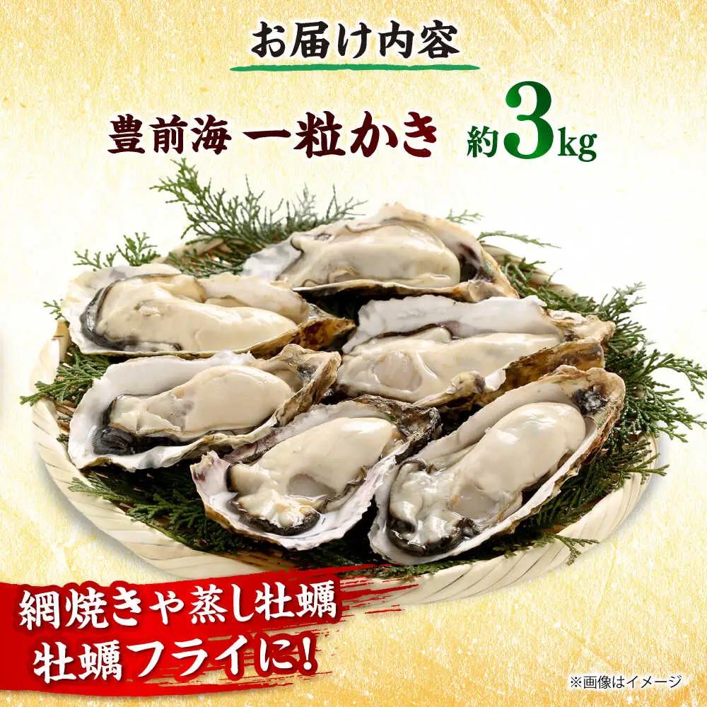 【先行予約】 豊前海 一粒かき 約3kg[BGBD002]牡蠣