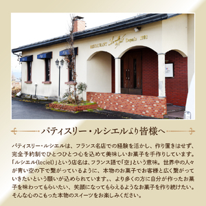 本格生チョコレート ビター&アールグレイ 24粒入り　（山形県 河北町 チョコレート チョコ お菓子 おやつ スイーツ お取り寄せ  緑茶園 パティスリー ルシエル ）