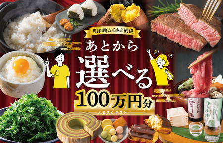 あとからセレクト　100万円　M1884