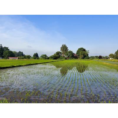 ふるさと納税 花巻市 【毎月定期便】銀河のしずく厳選プレミアム(栽培期間中農薬・化学肥料削減)2kg タカハシ農園全3回 |  | 02