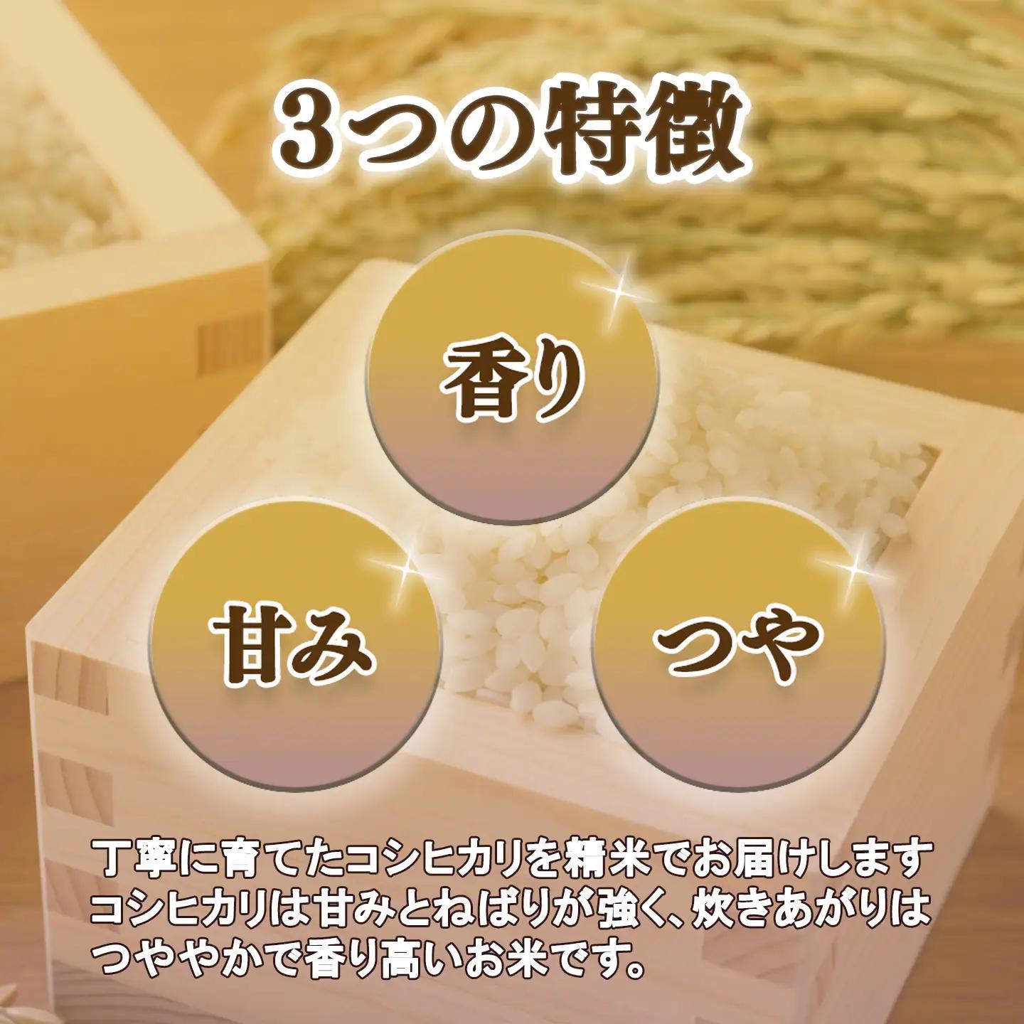 【 3ヵ月 定期便 】 米 令和8年産 コシヒカリ 15kg 玄米 こしひかり