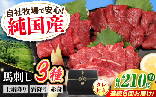 【全6回定期便】『純国産』熊本の味 馬刺し お試し 3種 セット 計約210g（2〜3人前）上霜降り 霜降り 赤身 タレ付【有限会社 九州食肉産業】 [AYCN071]