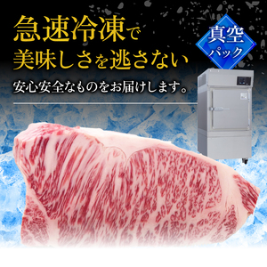 近江牛 A5ランク サーロインステーキ 200g×2枚 近江牛
