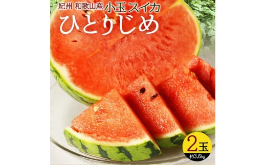 
            紀州和歌山産 小玉スイカ「ひとりじめ」 2玉【2026年6月中旬頃～2026年7月上旬頃に順次発送】【UT86】
          