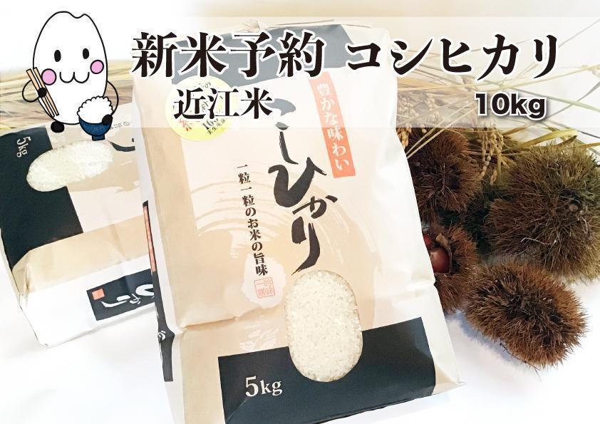 
            ◆【令和7年(2025)産新米予約】実生庵の新米近江米【四季風流】 特別栽培米 コシヒカリ 5kg× 2袋 精米済 9月上旬お届け農家直送
          
