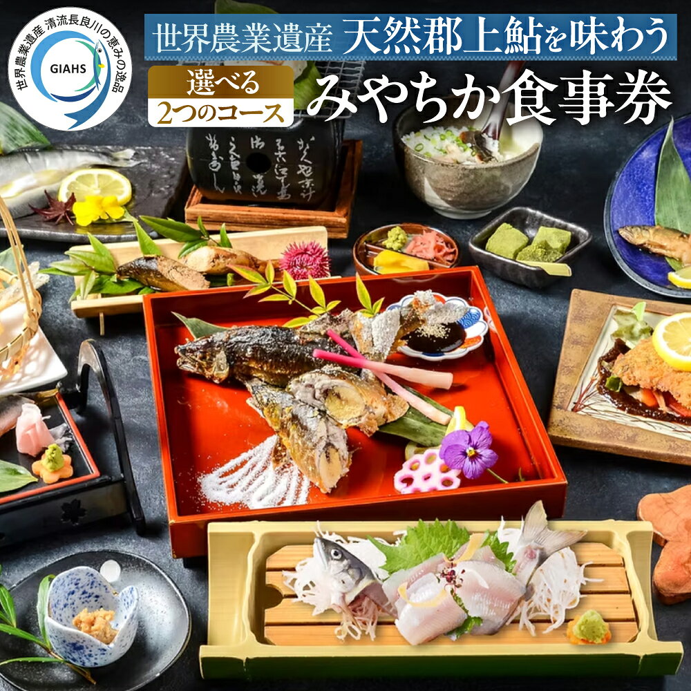 【ふるさと納税】みやちか食事チケット 選べる 2つの人気コース「長良膳 26000円」「贅沢子持ち御膳 53000円」長良川 郡上鮎 食事券 魚介類 ヤナ体験 鮎料理 懐石料理 子持ち鮎 鮎塩焼き