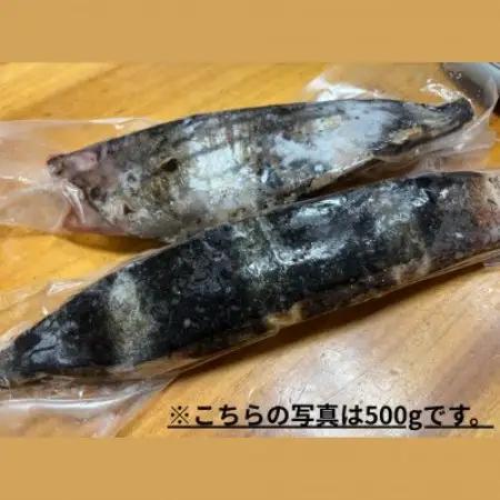 【訳アリ】鰹の藁焼きタタキ(1kg)【配送不可地域：離島】【1742734】