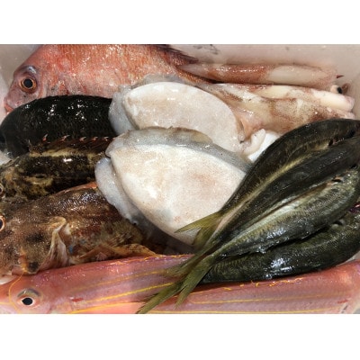 竹中水産の八幡浜発!「朝獲れデイリー鮮魚BOX」2キロ【D22−278】【配送不可地域：離島・北海道・沖縄県】【1298415】