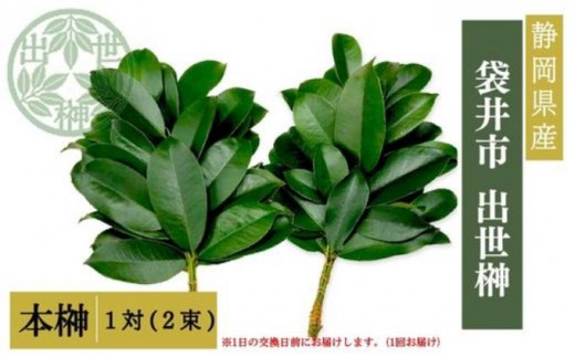 
                  袋井市　出世榊　本榊　純国産　1対（2束）※1日交換に間に合うように配送　榊 さかき サカキ 神棚 お供え 国内産 日持ち 大きい 艶やか 静岡県
                