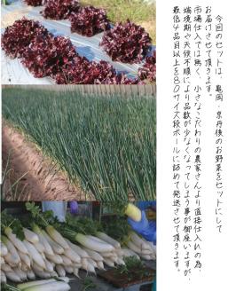 【定期便】合計12回お届け 野菜詰め合わせ 有機野菜・京野菜の『京都やおよし』亀岡・京丹後産 オーガニック 有機JAS 栽培期間農薬不使用 減農薬 ※着日指定不可  ※北海道・沖縄・離島への配送不可