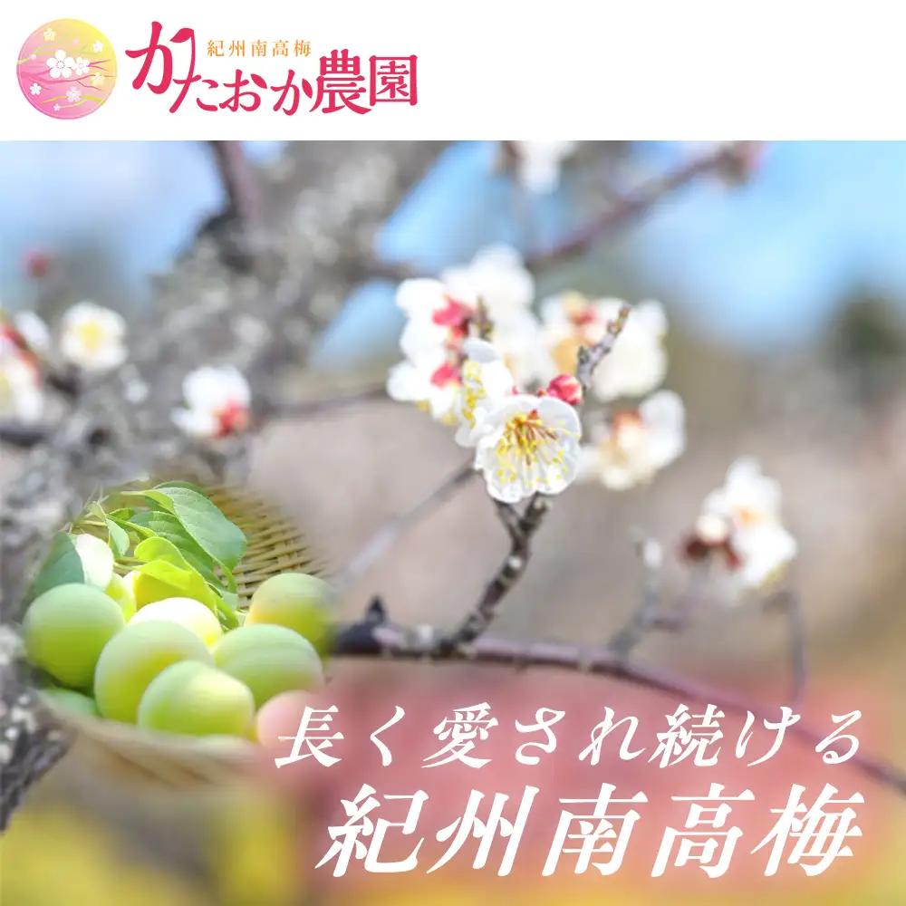 梅干し  塩分約18％ 1kg 本場紀州南高梅 完熟しそ梅干し【ktok002A】