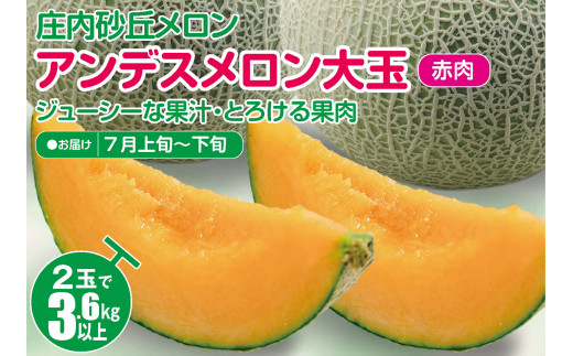 庄内砂丘メロン アンデスメロン(赤肉) 大玉2玉　計3.6kg以上　つる付き SA2963