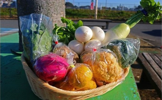 厳選・「おおばん市場」旬の野菜詰め合わせ　毎月1回1年間お届け定期便　【11246-0173】