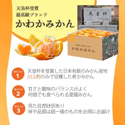 ＜期間限定!寄付額改定＞【天皇杯受賞産地】川上みかん 約5kg【訳あり】【C25-247】【1654045】