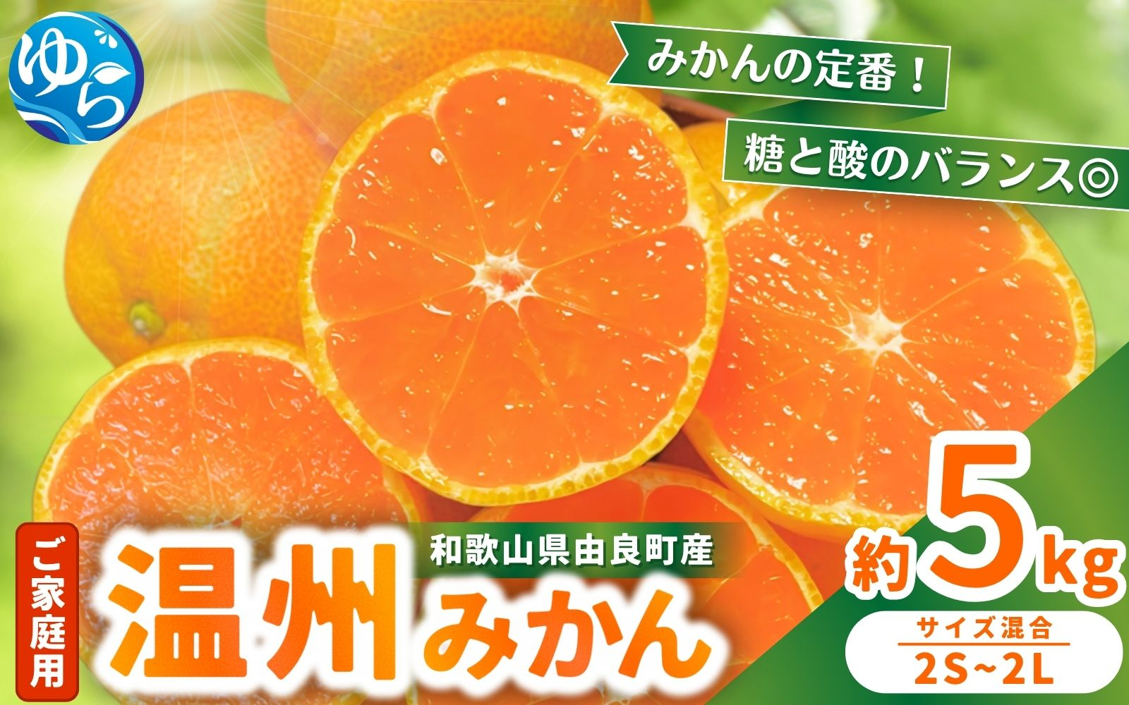 
            【先行予約】家庭用 温州みかん 約5kg ※2025年11月中旬頃～2025年12月中旬頃に順次発送 / 農家直送 くだもの  果実  柑橘 果物 フルーツ 国産 和歌山県 由良町 ご家庭用 人気 おすすめ【nktn003】
          