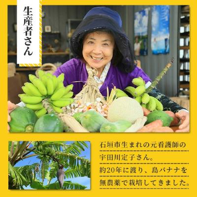 ふるさと納税 石垣市 希少!特許製法で作るシリカ水で栽培する特別な「島バナナ」 |  | 03