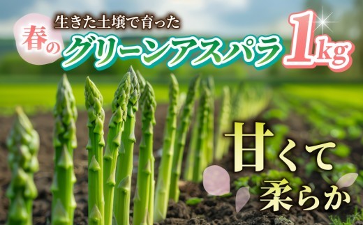
            先行受付【里山JAPAN】甘くて柔らか 生きた土壌で育った『春のグリーンアスパラ』1kg｜長野県 ※2026年春発送
          