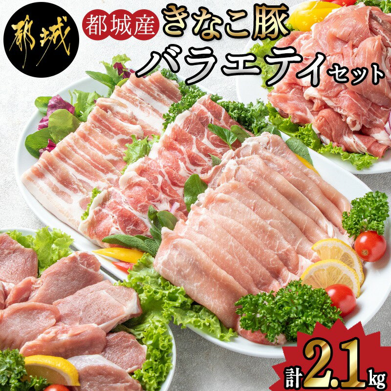 【ふるさと納税】都城産「きなこ豚」バラエティセット - ブランド豚 豚肉 豚肩ロース 豚バラしゃぶしゃぶ肉 ロース生姜焼き ヒレカツ ウデ・モモ小間切れ 豚しゃぶ 送料無料 MJ-1205【宮崎県都城市は2年連続ふるさと納税日本一！】