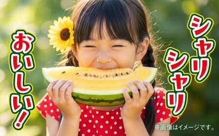 【2026年 先行予約】【数量限定】すいか 金色羅皇 1玉入り 約8kg以上 黄色い スイカ 甘い【日本フルーツ株式会社】[AYDA008]