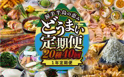 渥美半島の恵み 20種 40回 12 カ月 1年定期便