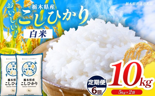 【栃木県共通返礼品】【先行予約】【令和8年度産】【定期6回】栃木県産コシヒカリ 10kg |定期便 選べる ふるさと 納税 コシヒカリ お米 精米 白米 玄米 大粒 共通返礼品 送料無料 那珂川町 栃木県