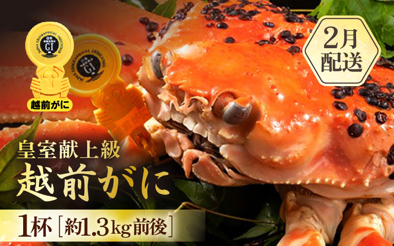 
            ≪浜茹で≫越前がに 超特 皇室献上級 1杯（約1.3kg前後）大人約2人前 食べ応え充分【雄 ズワイガニ かに カニ 蟹 越前ガニ 姿 ボイル 冷蔵 福井県】【2月発送分】希望日指定可 備考欄に希望日をご記入ください [e65-x005_02]
          
