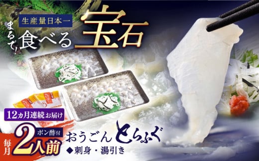 ＜全12回定期便＞【高級とらふぐをご家庭で】活〆 おうごん とらふぐ 刺身セット（2人前） 平戸市 / 松永水産 [KAB155]