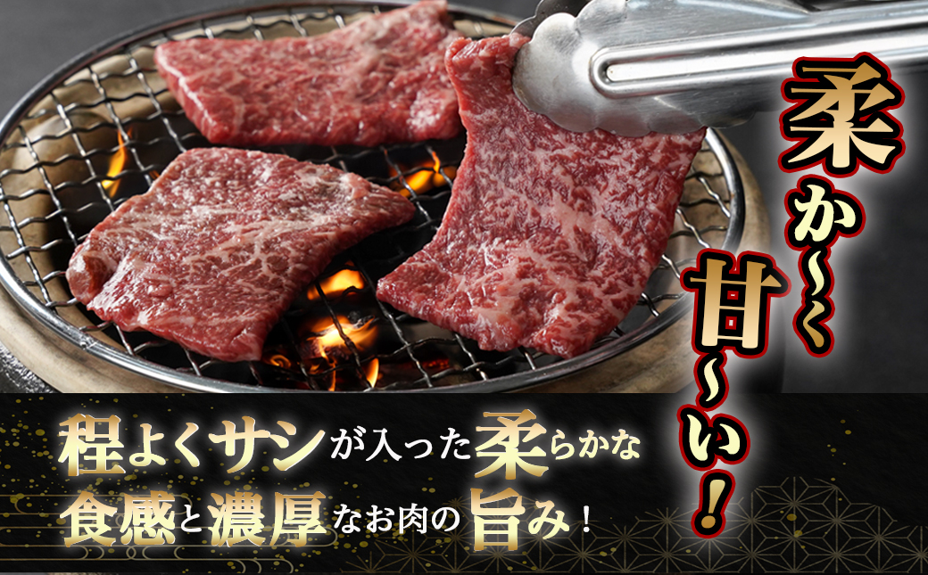 黒毛和牛モモ焼肉用500g_14-3302