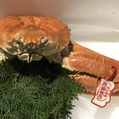 ふるさと納税 鳥取県 【魚倉】タグ付きボイル松葉ガニ　大1枚約800g(ボイル前) |  | 01