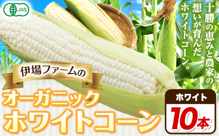 オーガニック ホワイトコーン 10本 伊場ファーム 北海道浦幌町産 朝もぎたて とうもろこし 旬の時期にお届け 朝採り【2025年8月下旬-9月中旬より順次出荷】