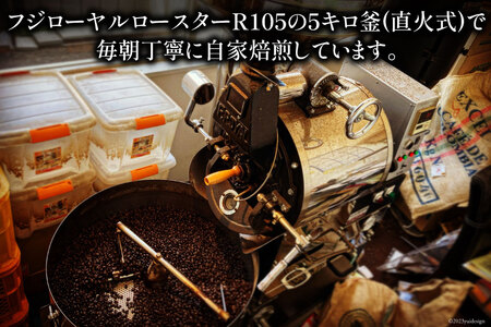 コーヒー EF15 スペシャルティ 粉 100g2種類 計200g  珈琲自家焙煎 焙煎 セット