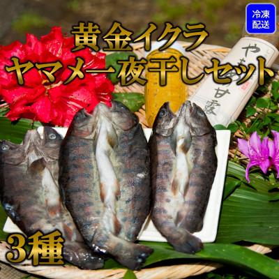 ふるさと納税 三股町 【テレビで紹介されました!】黄金イクラとヤマメ一夜干しセット【A-0203】
