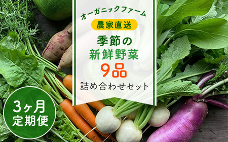 【3ヶ月 定期便】【栽培期間中農薬不使用】農家直送！季節の新鮮野菜「９品」詰め合わせセット AIBA FARM TML002 / 野菜セット 無農薬 野菜 千葉県 富里市 直送野菜 お野菜セット 旬野菜 季節野菜 農家直送 採れたて とれたて やさい 詰め合わせ セット ヤサイ 旬の野菜 季節の野菜 産地直送 詰め合わせ おまかせ 新鮮 農薬不使用