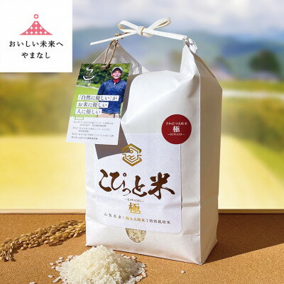 【ふるさと納税】きわだつ大粒!【令和7年産】こぴっと米【極】白米・2kg　特別栽培米【配送不可地域：離島】【1652051】