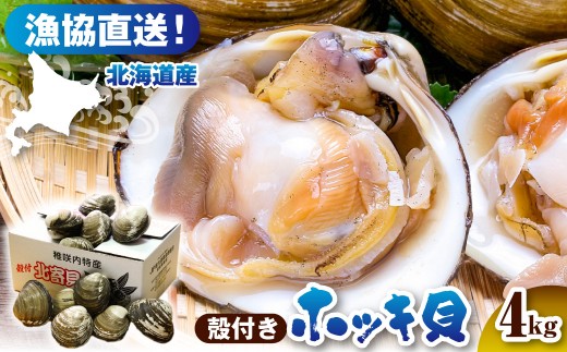 【数量限定】 獲れたて直送 ホッキ貝 約4kg tt007-002