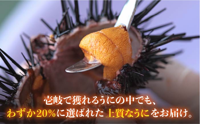 【全3回定期便】壱岐島産 老舗の厳選 おさだの生うに 60g×1本 [JAO036]