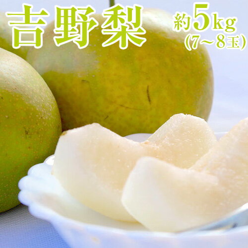 【ふるさと納税】【先行予約】熊本県氷川町産 吉野梨（新高梨）約5kg（7〜8玉前後） JAやつしろ梨部会《9月上旬-9月末頃出荷》