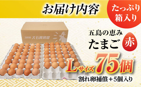 【お得な箱入り】五島の恵みたまご Lサイズ 75個入 / 卵 赤玉子五島市 / 五島列島大石養鶏場[PFQ005]