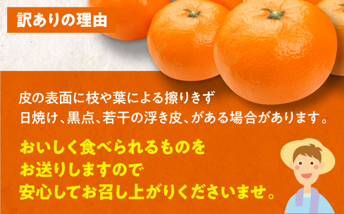 【先行予約】【12月中旬より順次発送】【ちょっと訳あり】温州みかん 愛媛県産 南柑20号 10kg 温州みかん みかん 柑橘 愛媛みかん　愛媛県大洲市/有限会社カーム/カームシトラス [AGBW009
