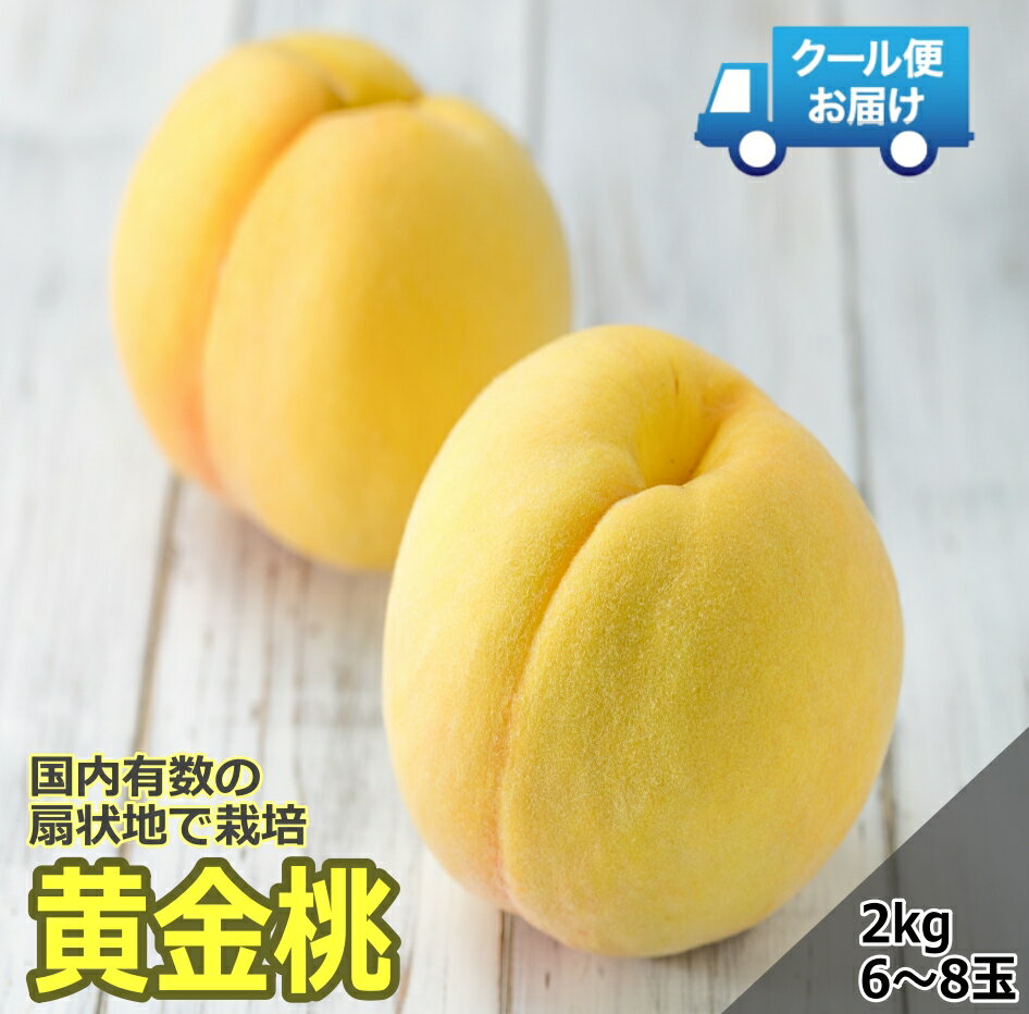 【ふるさと納税】 【2026年発送先行予約】クール便 収穫当日に発送 【黄金桃】2kg（6～8玉） ふるさと納税 おすすめ 山梨県 南アルプス市 送料無料 ALPDG011