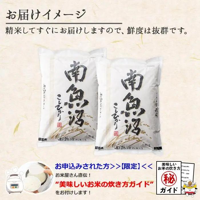 新潟県 南魚沼産 コシヒカリ こしひかり お米 2kg ×2個 計4kg 精米 魚沼 米 炊き方ガイド付き｜主食