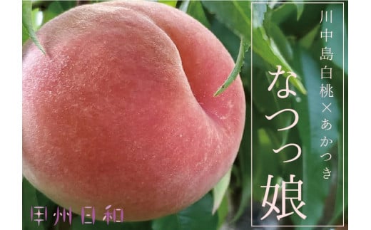【品種指定】朝採れ！白桃系なつっこ 約1.8kg【2026年発送】（KSB）C-132 【なつっこ 桃 もも モモ 令和8年発送 期間限定 山梨県産 甲州市 フルーツ 果物】