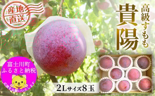 【2025年発送分 先行予約】貴陽（2L）８玉　すもも プラム スモモ 李 くだもの 果物 山梨 やまなし フルーツ 産地直送 富士川町