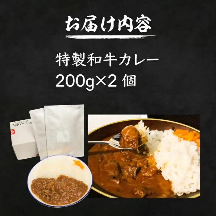 焼肉屋さんの特製和牛カレー 200g×2個 VAH051 牛肉カレー