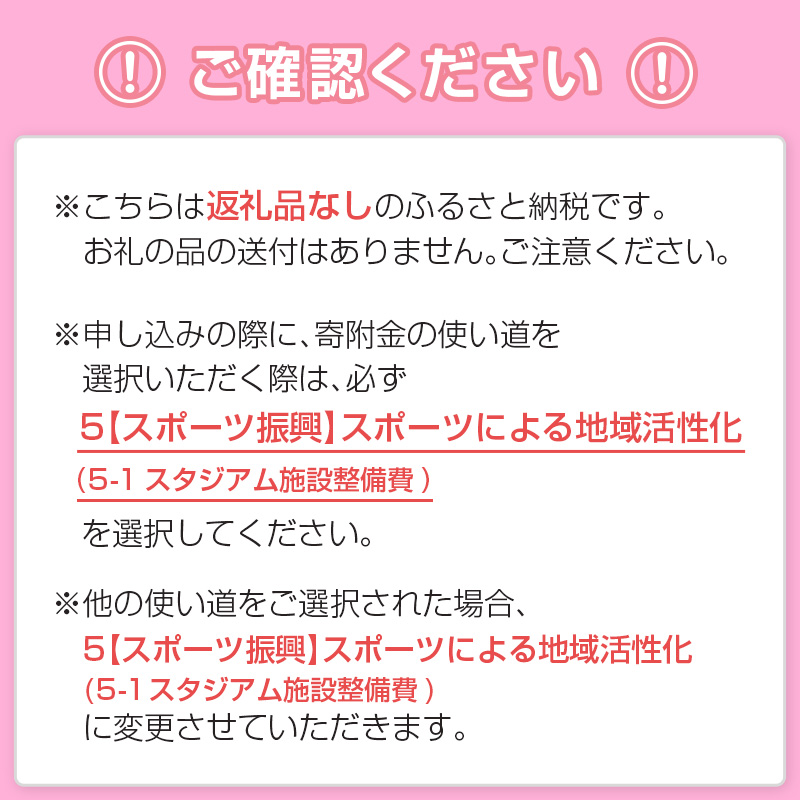 ＜寄附のみ＞ 返礼品なし いちご宮崎新富サッカー場 改修整備 1口 30,000円 J2昇格 テゲバジャーロ宮崎 サッカー Jリーグ J2 スポーツ 社会貢献 地域活動 応援寄附 サポーター【S27】