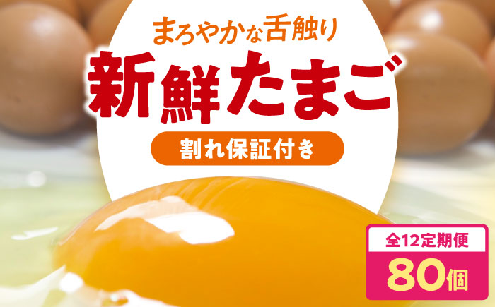 【全12回定期便】平飼い 海草たまご 8パック（80個入り）割れ保証あり 愛媛県大洲市/和田養場所 卵 たまご 鶏卵 卵料理 玉子 [AGDQ013]