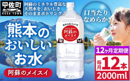 【定期便12ヶ月】熊本のおいしいお水 阿蘇のメイスイ 2L×12本（2ケース）（共通返礼品・御船町） - 飲料水 ミネラルウォーター 軟水 防災 備蓄 ローリングストック【価格改定】