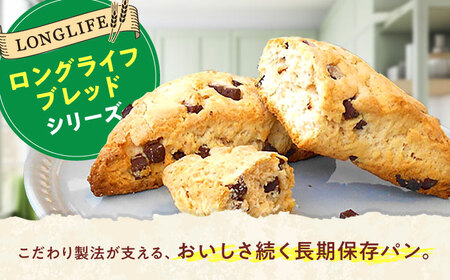 パン スコーン チョコスコーン 20個 パン BJAA004