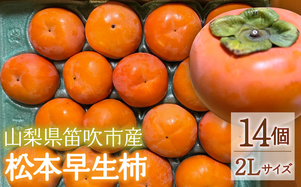 
                  松本早生柿　2Lサイズ 092-011
                