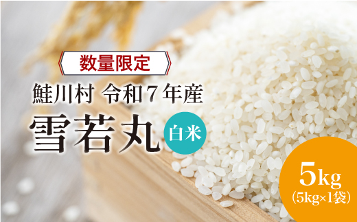 ◇数量限定品◇ 令和8年8月下旬発送 ＜令和7年産＞ 雪若丸 【白米】 5kg （5kg×1袋）鮭川村